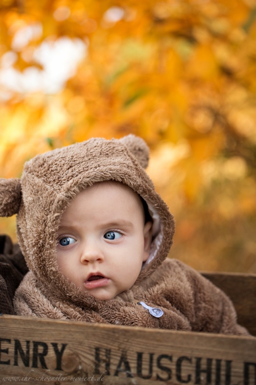 Babyfotos im Herbst Buxtehude-10