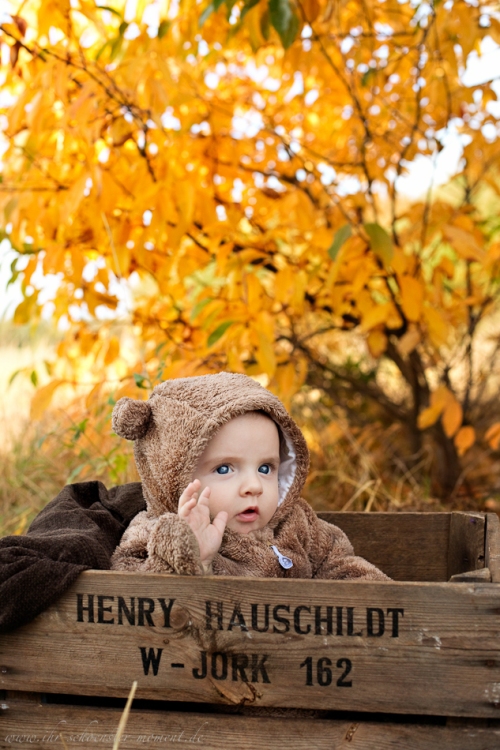 Babyfotos im Herbst Buxtehude-3