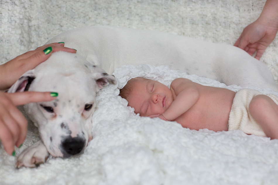Neugeborenenbilder mit Hund-18